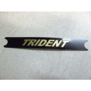 60-4569 - Motif side panel Trident | Triumph