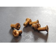 Inspection cover screw
